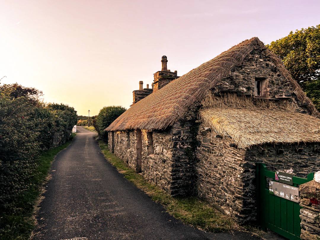 The 1926 Census of Ireland: Find Your Grandparents, Free