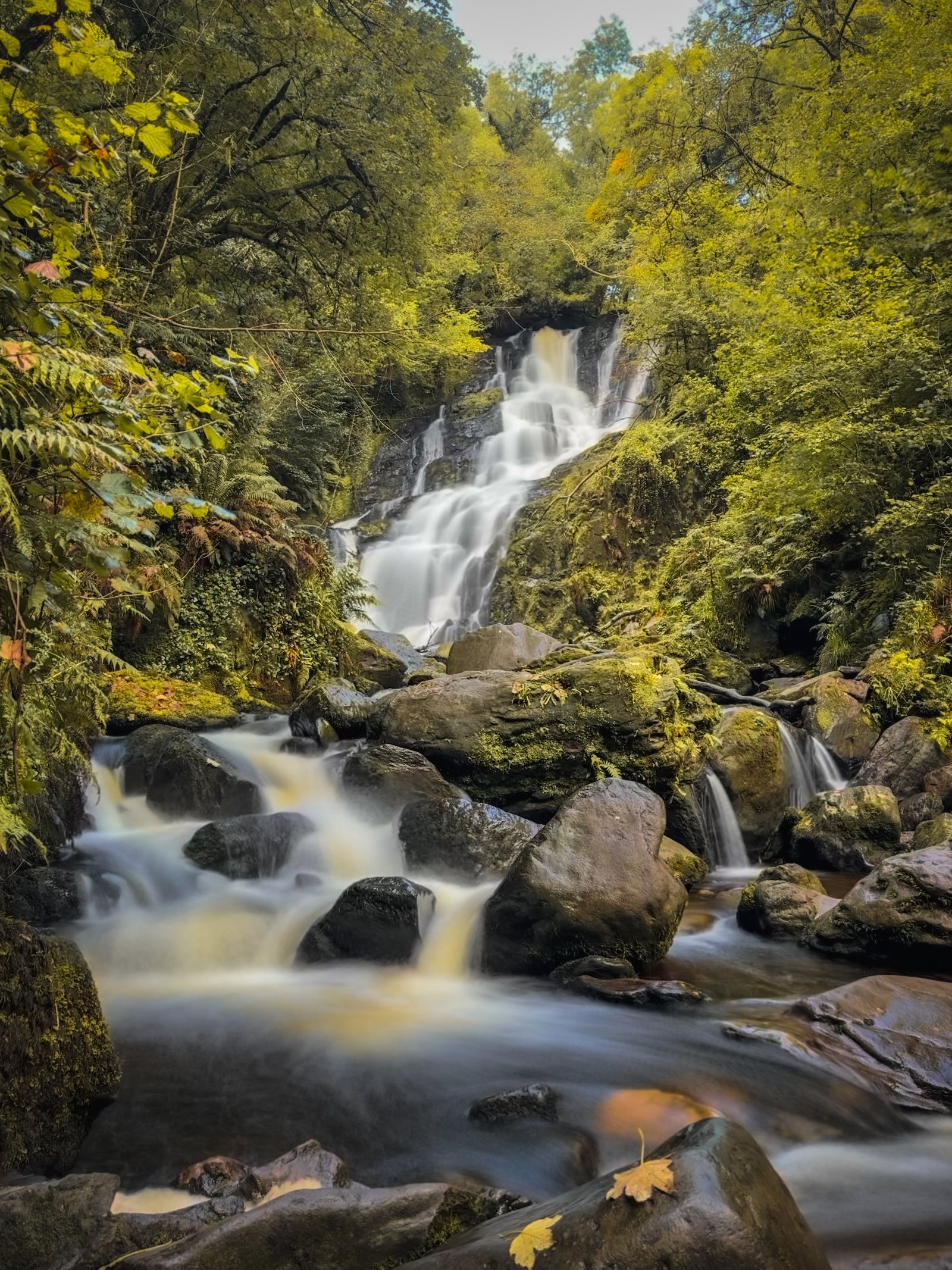 Ireland's National Parks and Natural Wonders