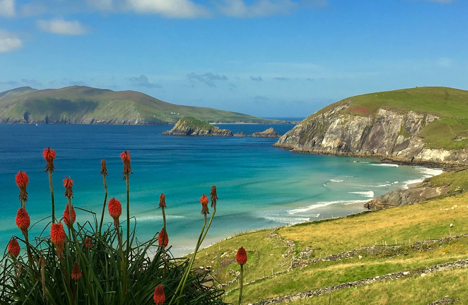 An Ireland Road Trip