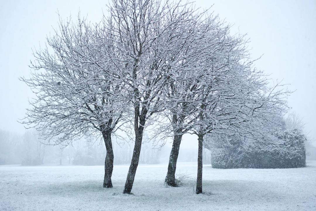 Understanding Ireland's Weather