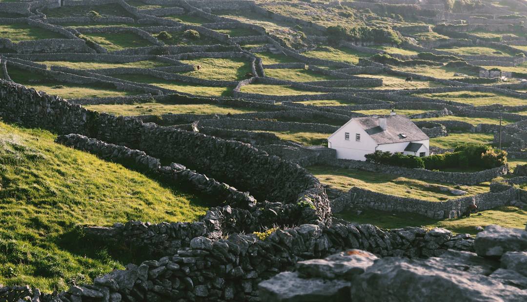 Experience Irish Traditions Like a Local