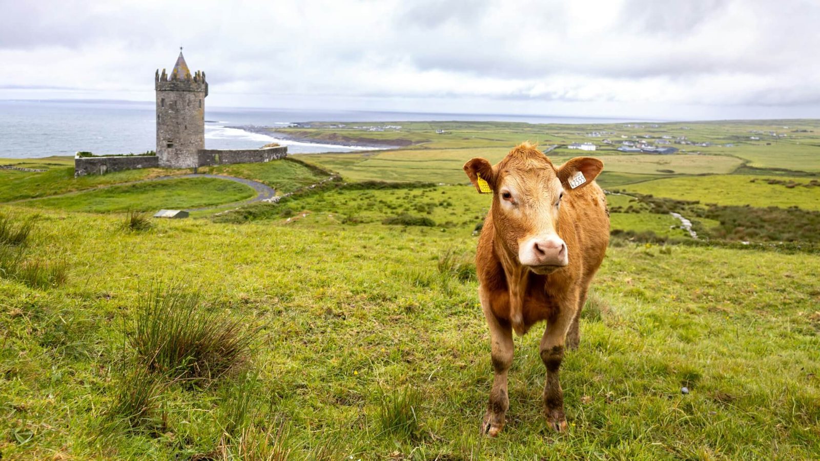 Visiting Ireland's Historic Castles