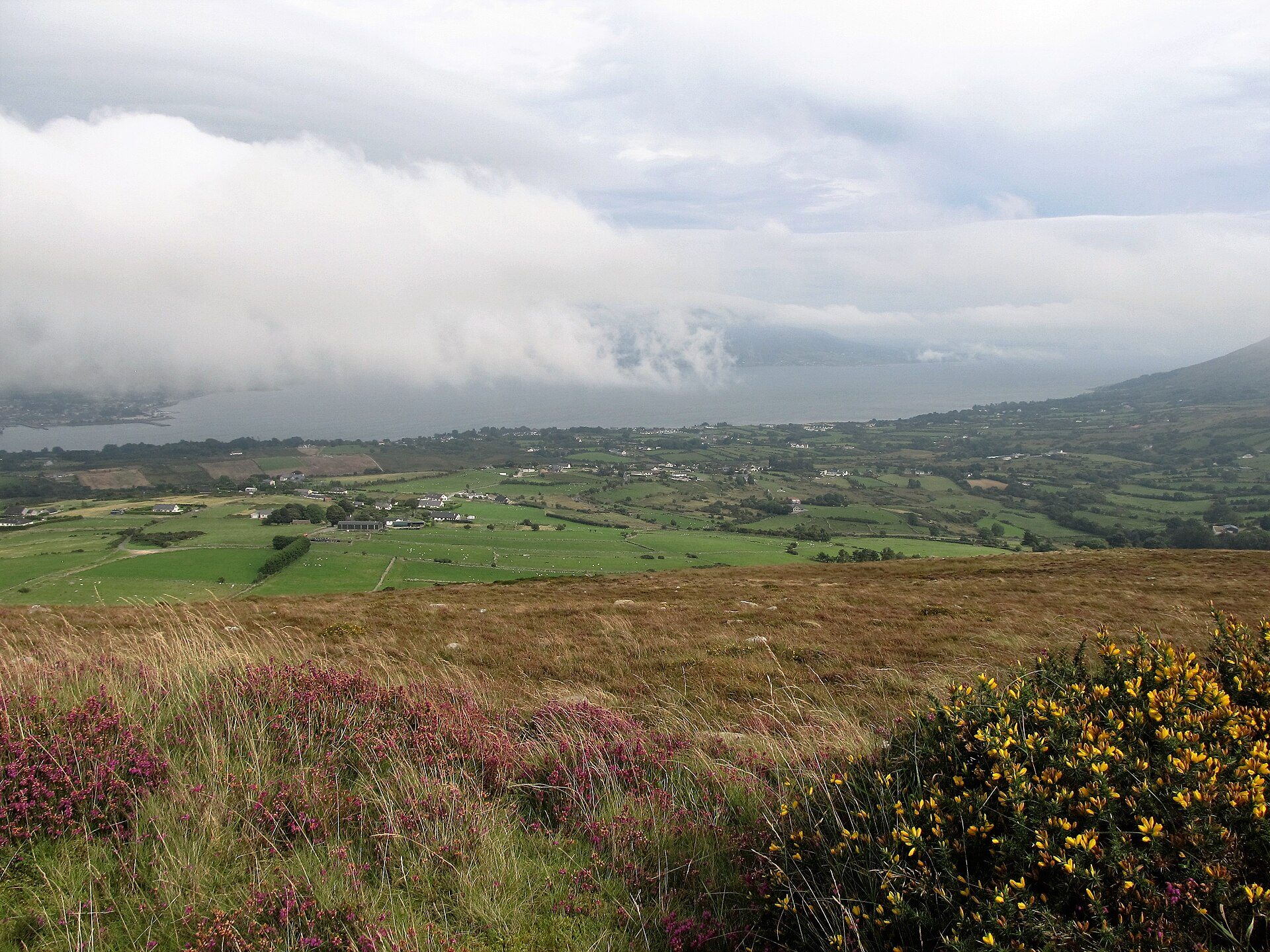 County Louth